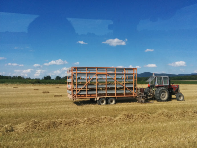 Self-Loading hay wagon  small bales model Rod Letendre Machinery